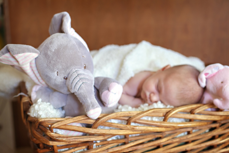 Newborn Photographer in Scottsdalev