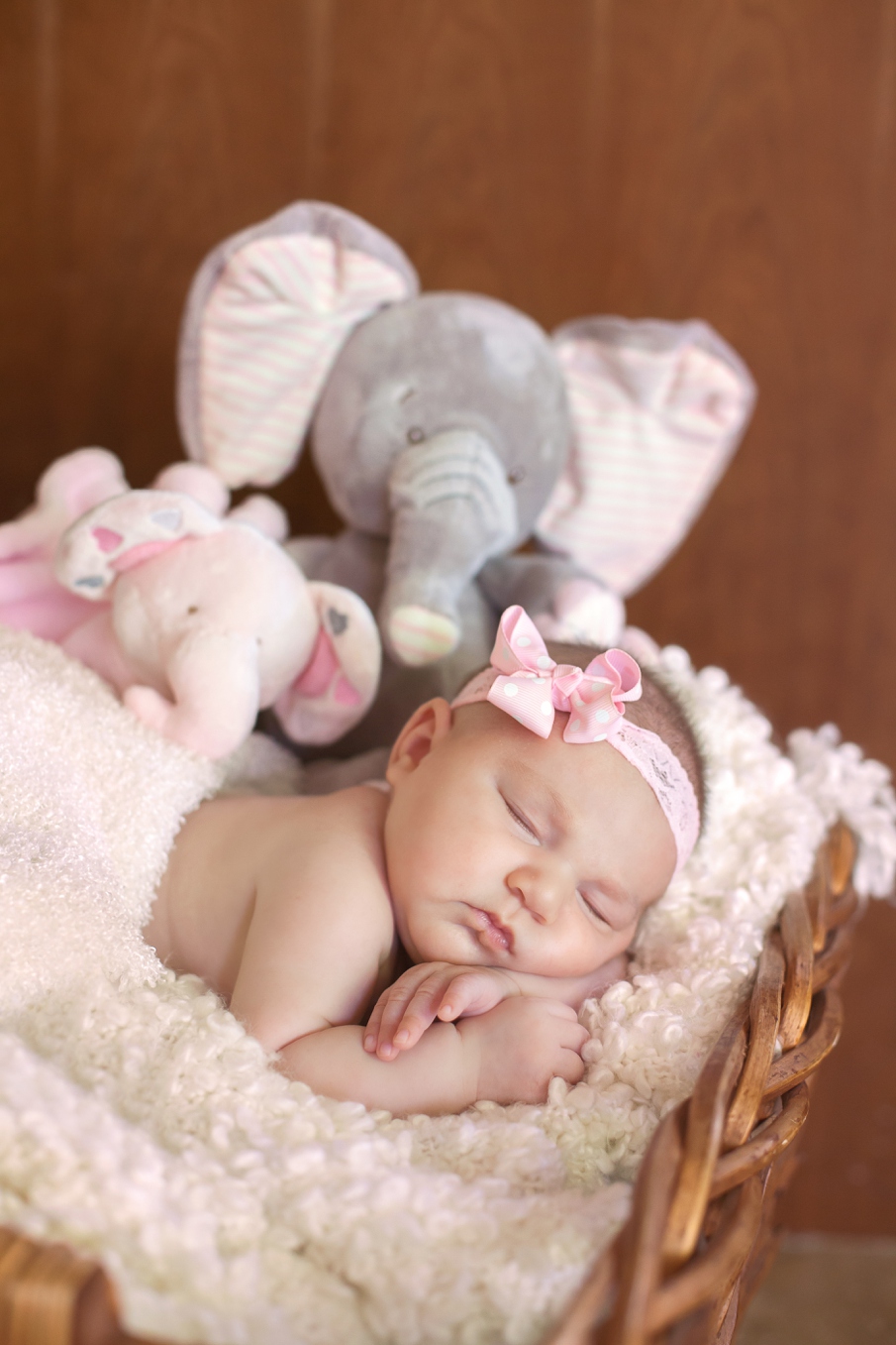 Newborn Photographer in Scottsdale