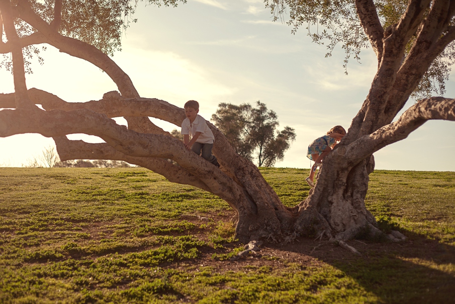 Scottsdale Family Photographer