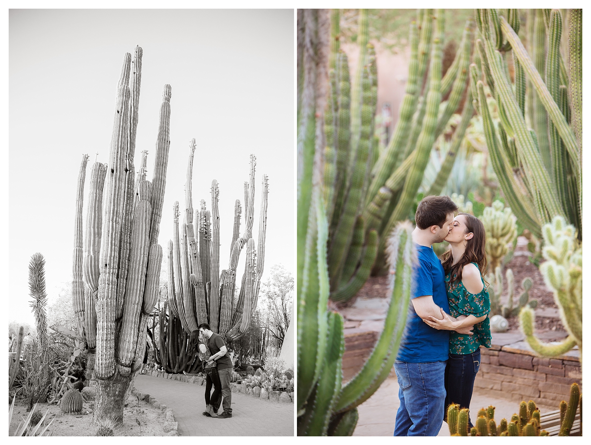 ArizonaWedding_0156.jpg