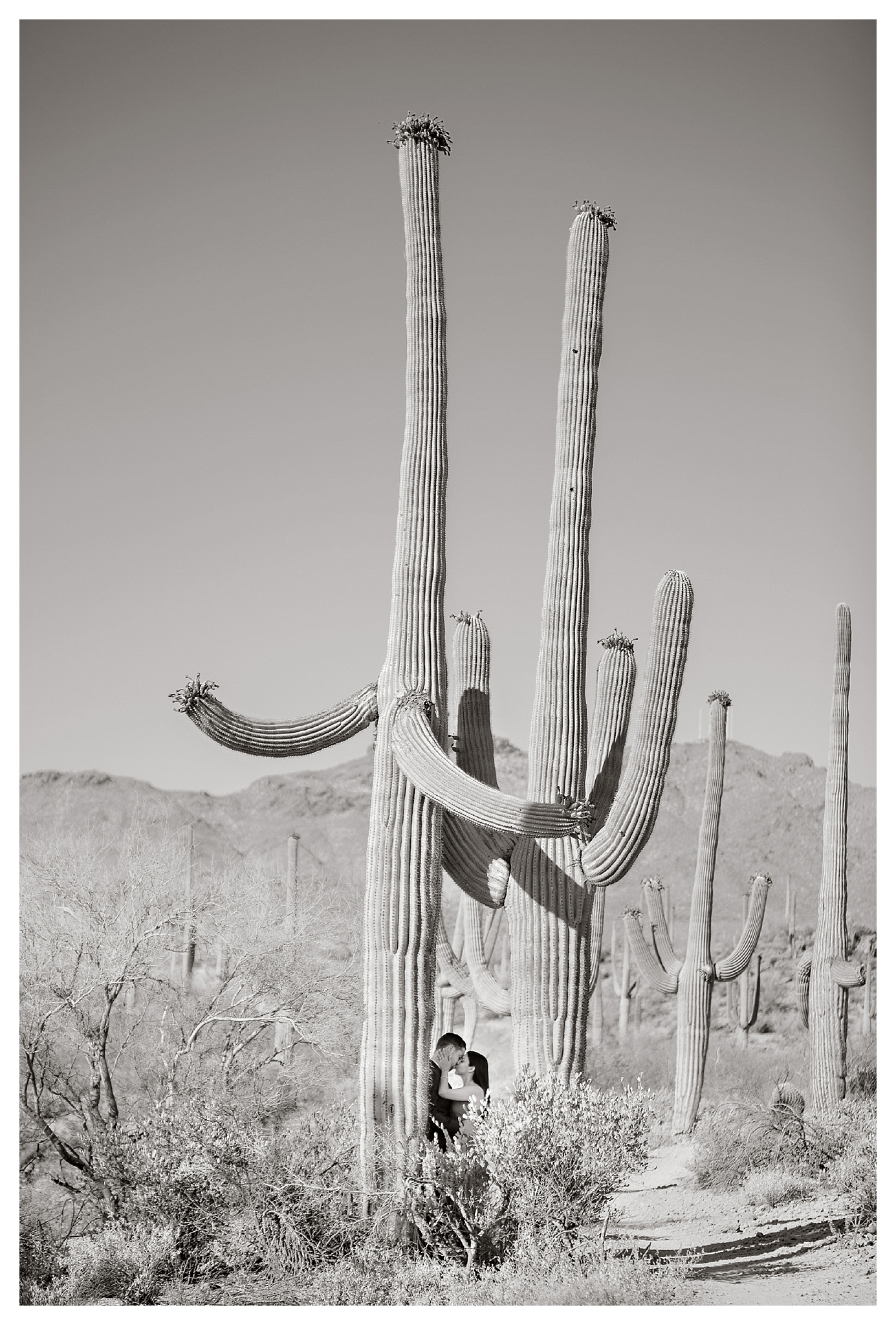 ArizonaWedding_0270.jpg