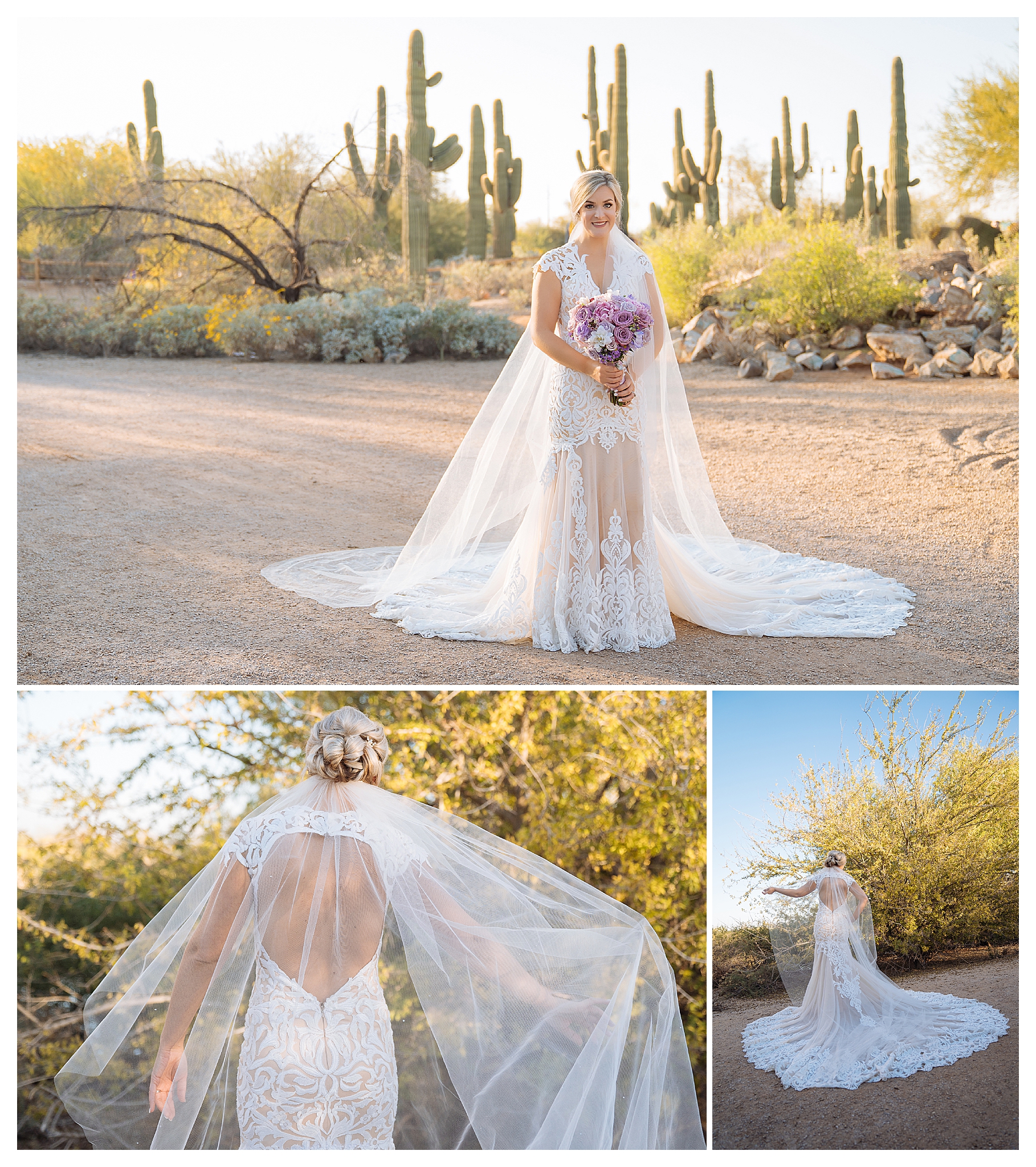 ArizonaWedding_0602.jpg