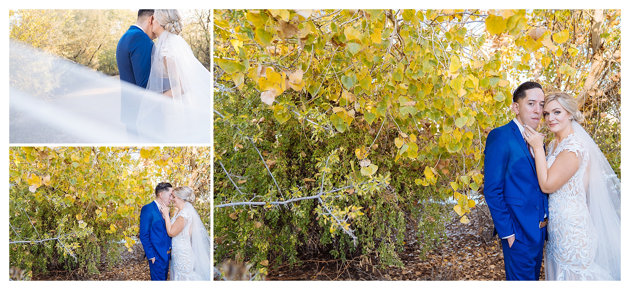 ArizonaWedding_0606.jpg