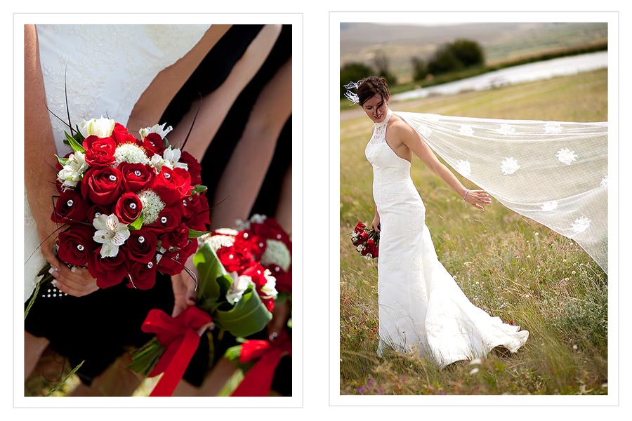 Montana Wedding 