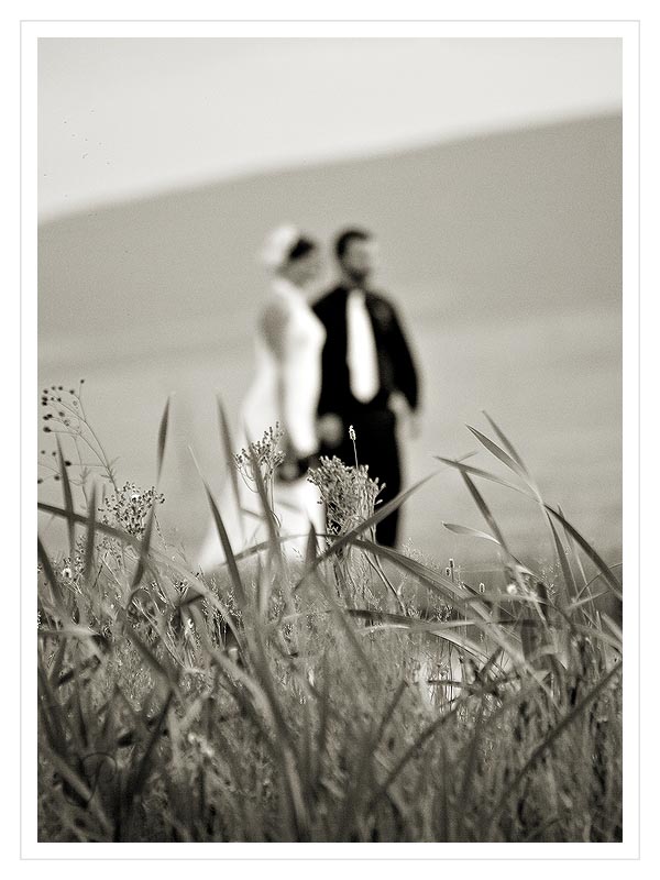 Montana Wedding 