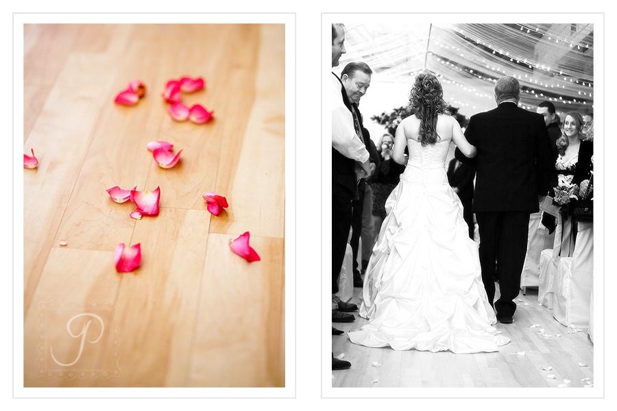 Wyoming Wedding Photographer