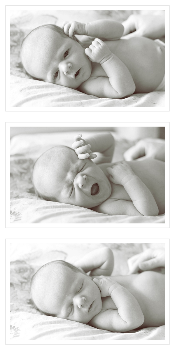 Montana Newborn Photography