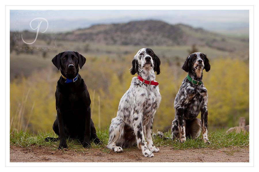 Montana Family and Pet Photography