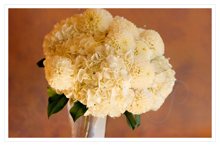 Portland Oregon Wedding Photography
