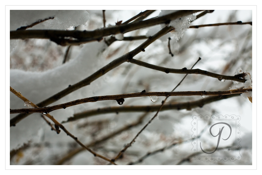 Snow